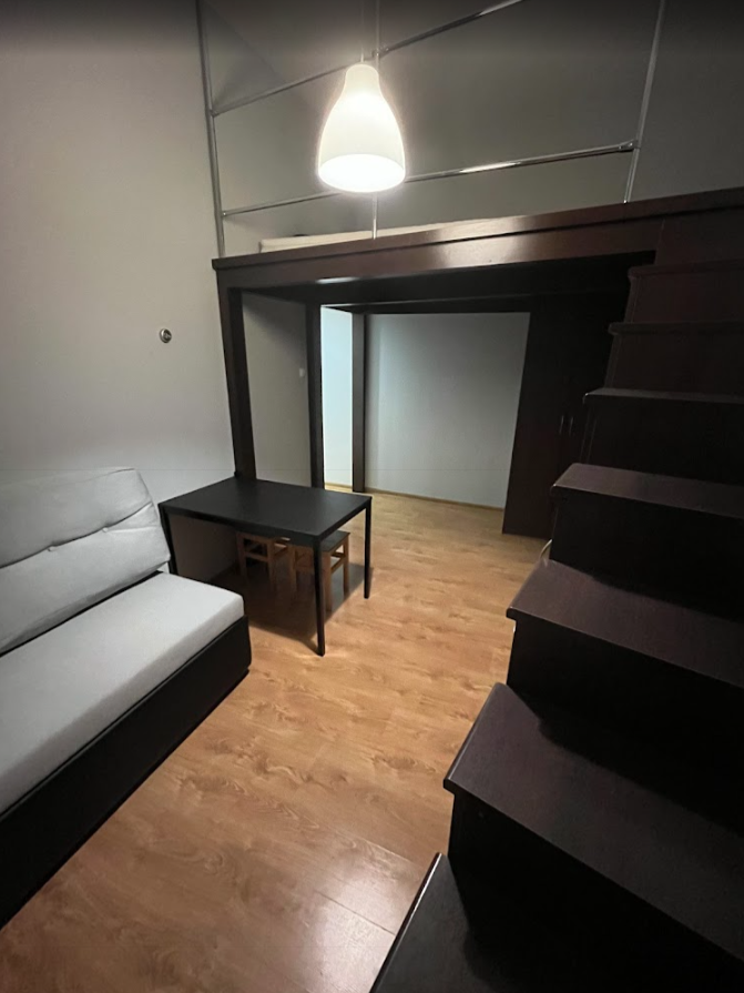 Mikołaj - ogłoszenie lokatorskie 