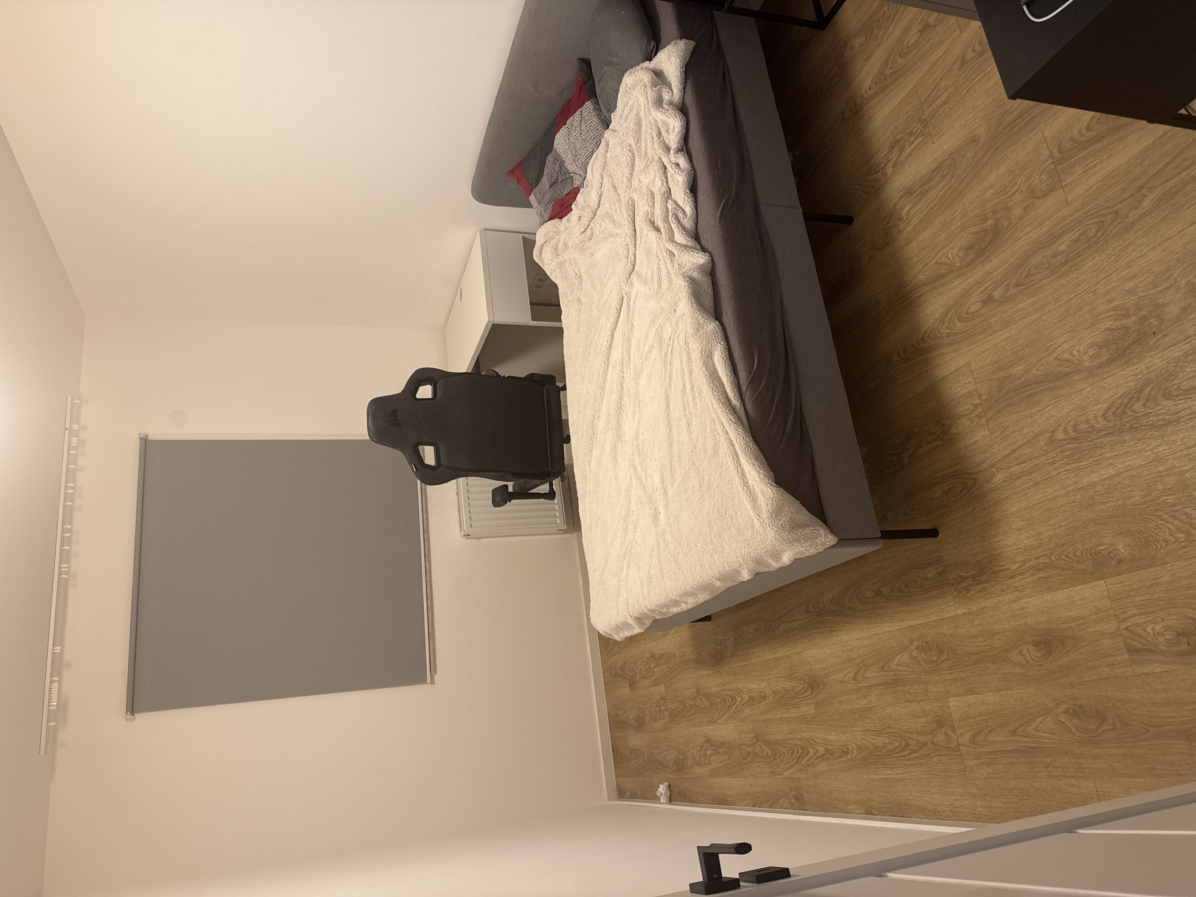 Silvio - ogłoszenie lokatorskie 